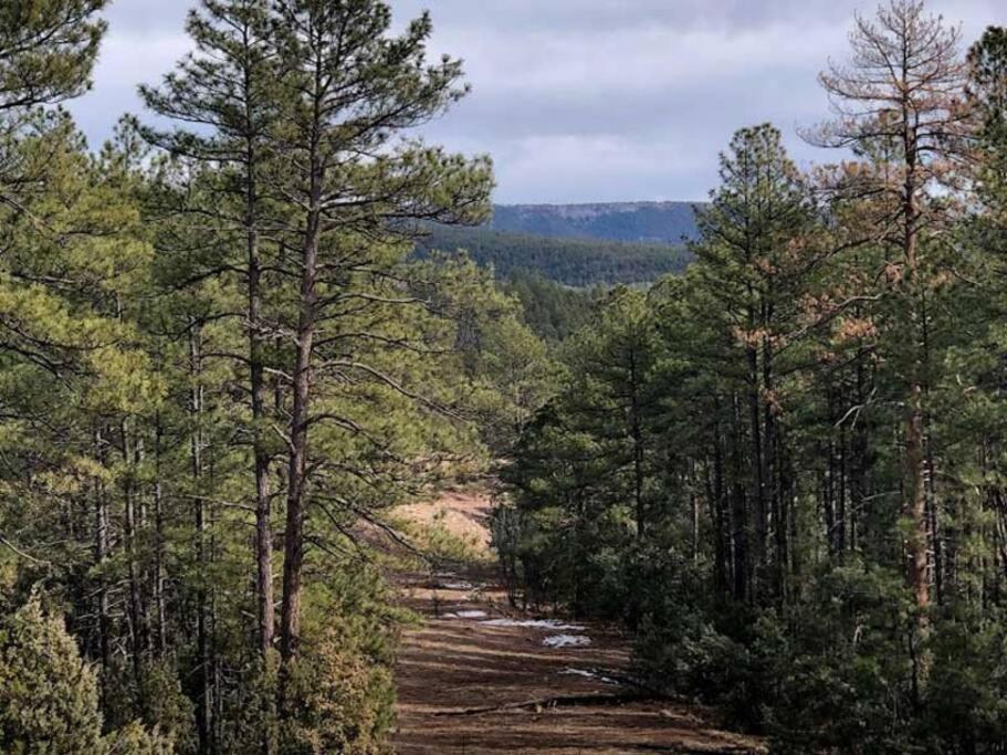 Forest Cabin 1 Hunters Blind Payson Luaran gambar