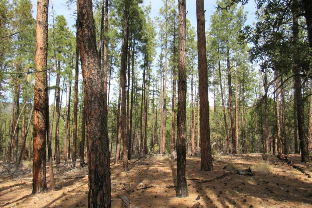 Forest Cabin 1 Hunters Blind Payson Luaran gambar